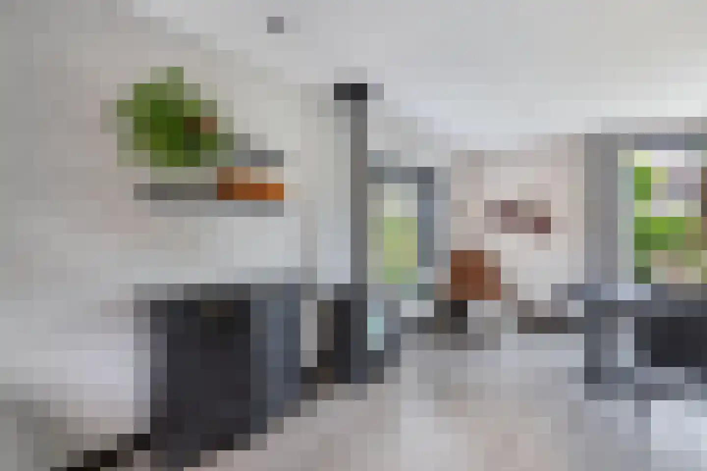 Roune Leane 2 Oudemirdum thumbnail 25
