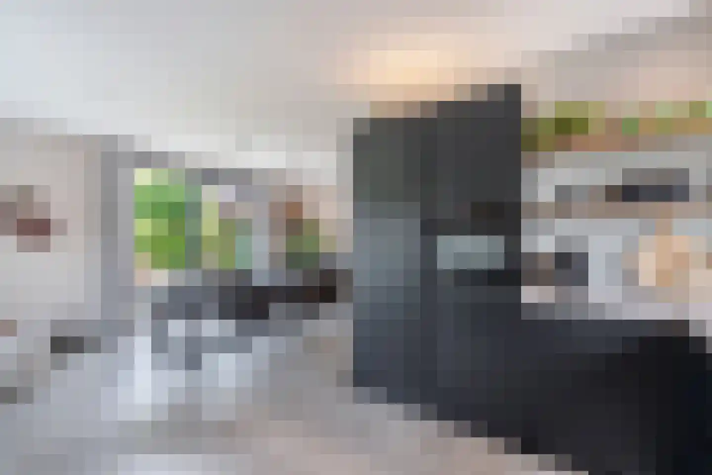 Roune Leane 2 Oudemirdum thumbnail 26