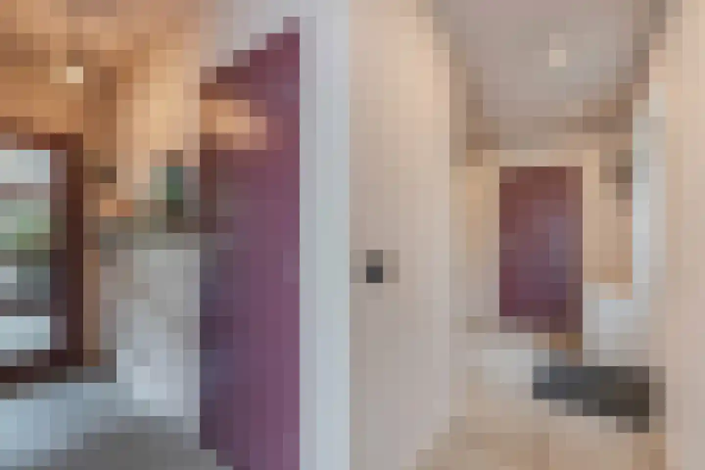 Roune Leane 2 Oudemirdum thumbnail 28