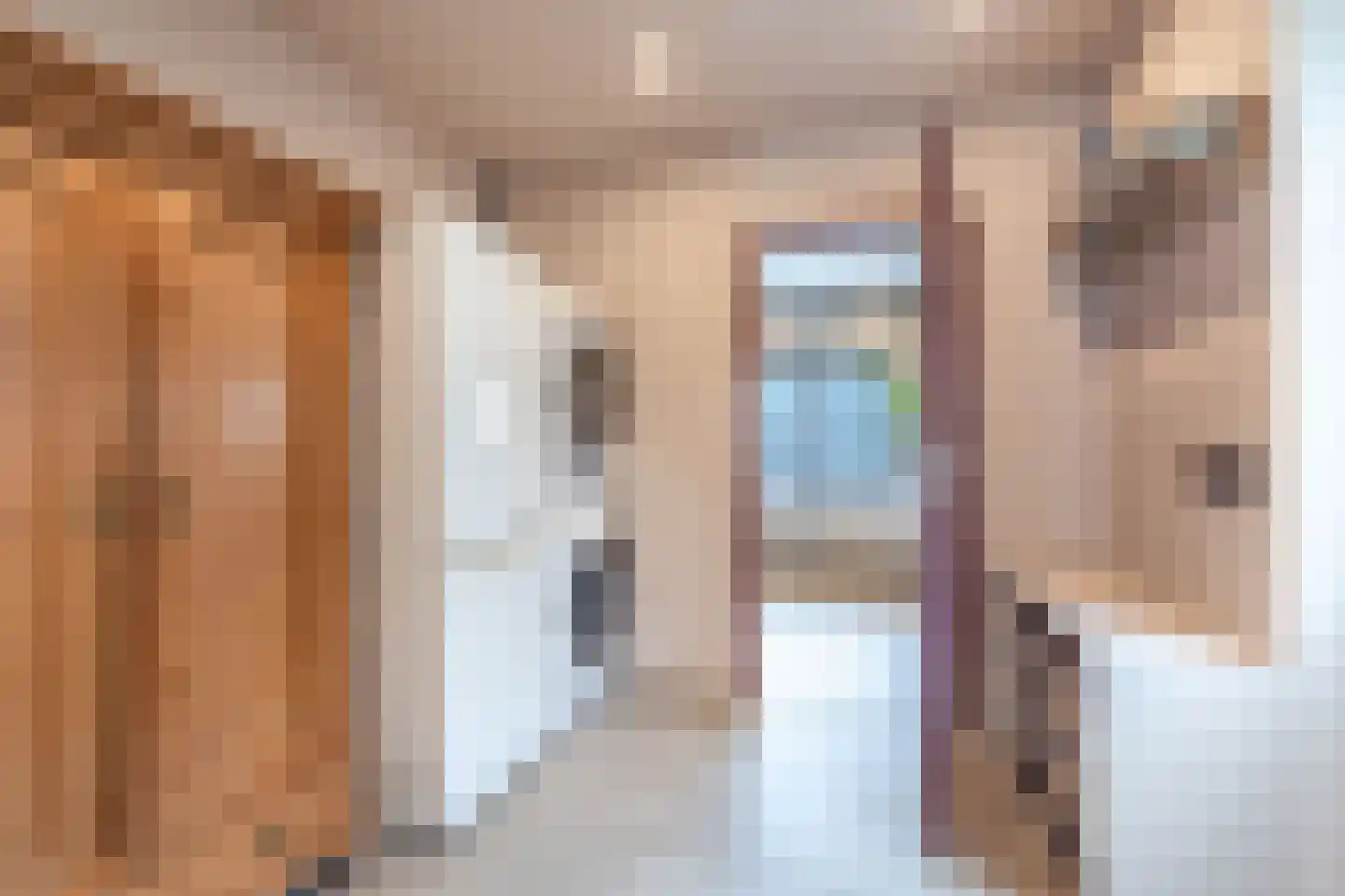 Roune Leane 2 Oudemirdum thumbnail 29