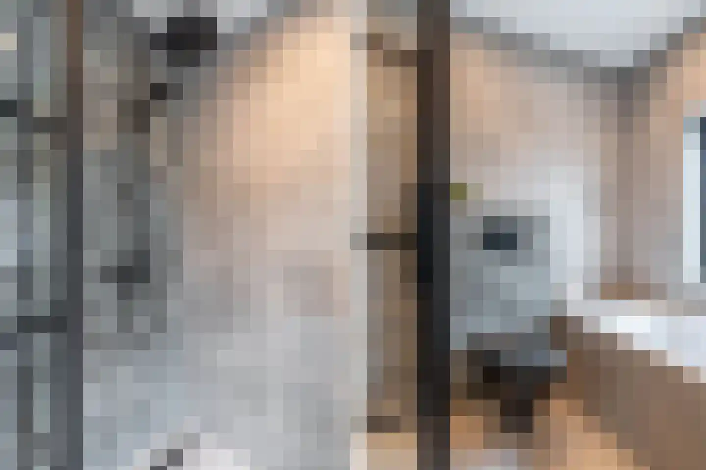 Roune Leane 2 Oudemirdum thumbnail 31