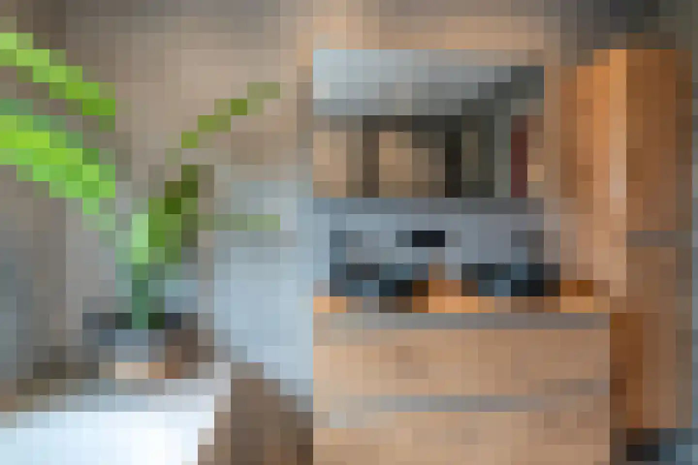 Roune Leane 2 Oudemirdum thumbnail 34