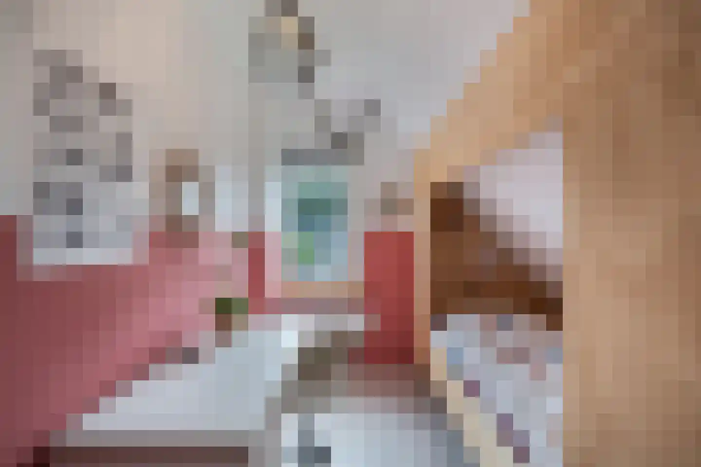 Roune Leane 2 Oudemirdum thumbnail 35
