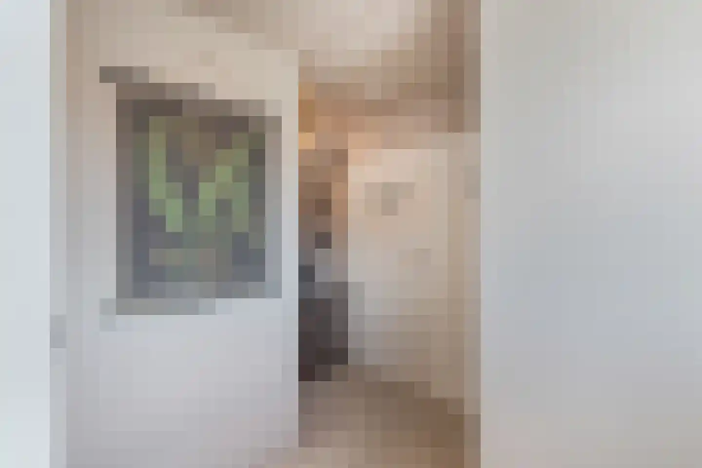 Roune Leane 2 Oudemirdum thumbnail 41