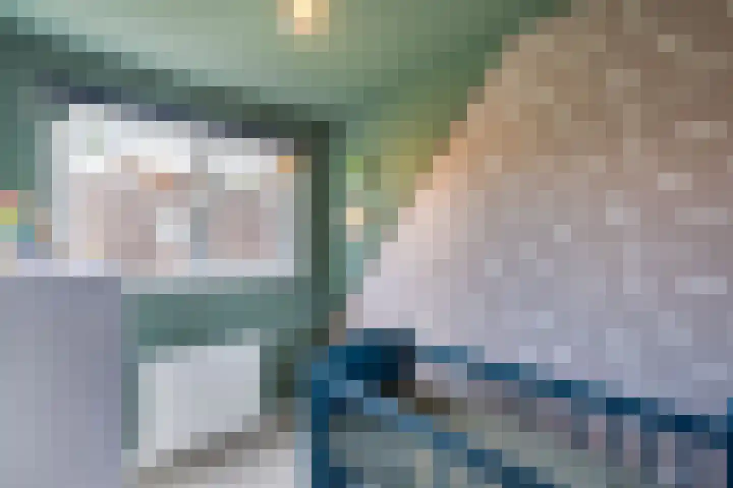 Roune Leane 2 Oudemirdum thumbnail 42