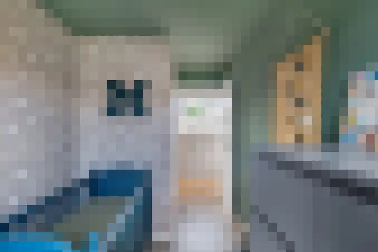 Roune Leane 2 Oudemirdum thumbnail 43