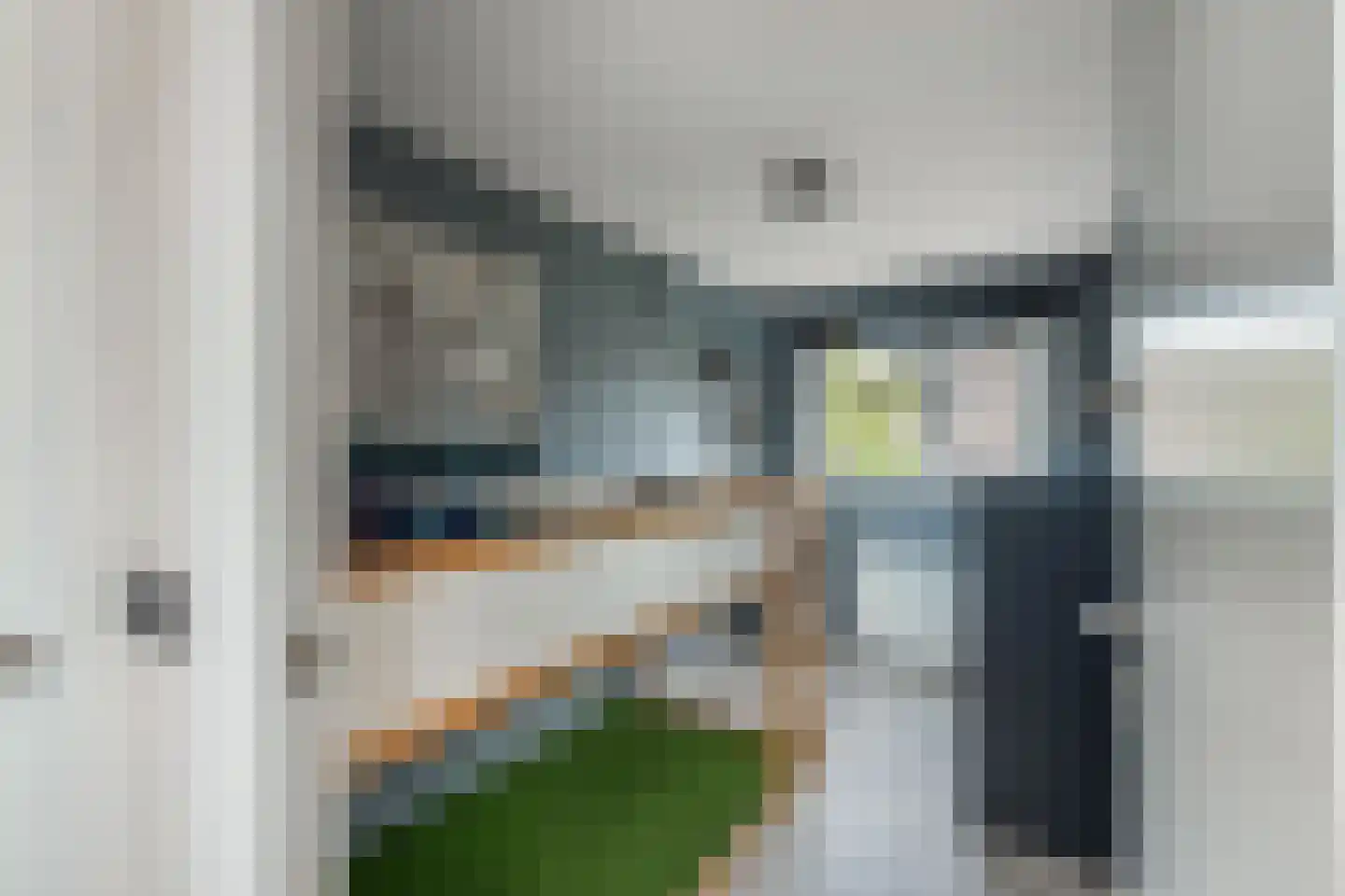 Roune Leane 2 Oudemirdum thumbnail 44