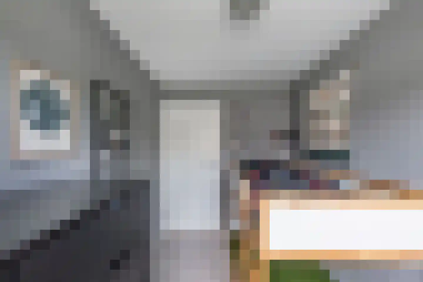 Roune Leane 2 Oudemirdum thumbnail 45