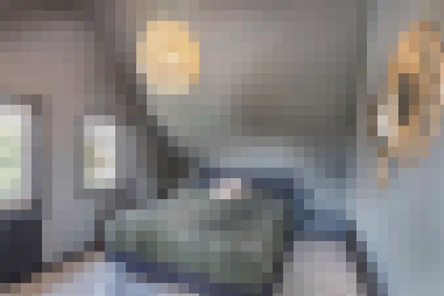 Roune Leane 2 Oudemirdum thumbnail 46