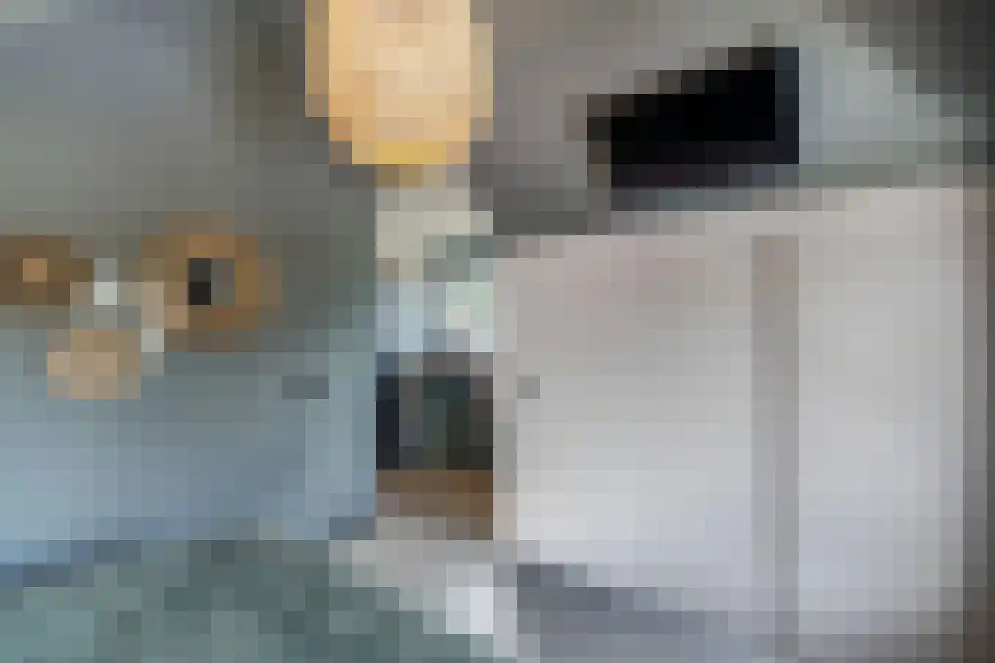 Roune Leane 2 Oudemirdum thumbnail 47
