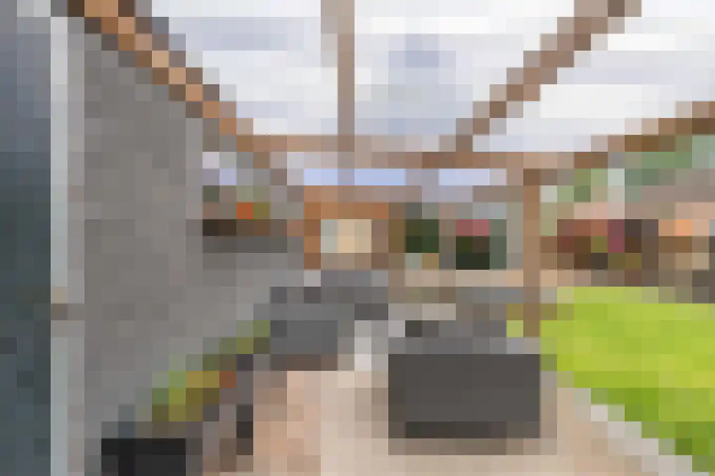 Roune Leane 2 Oudemirdum thumbnail 52