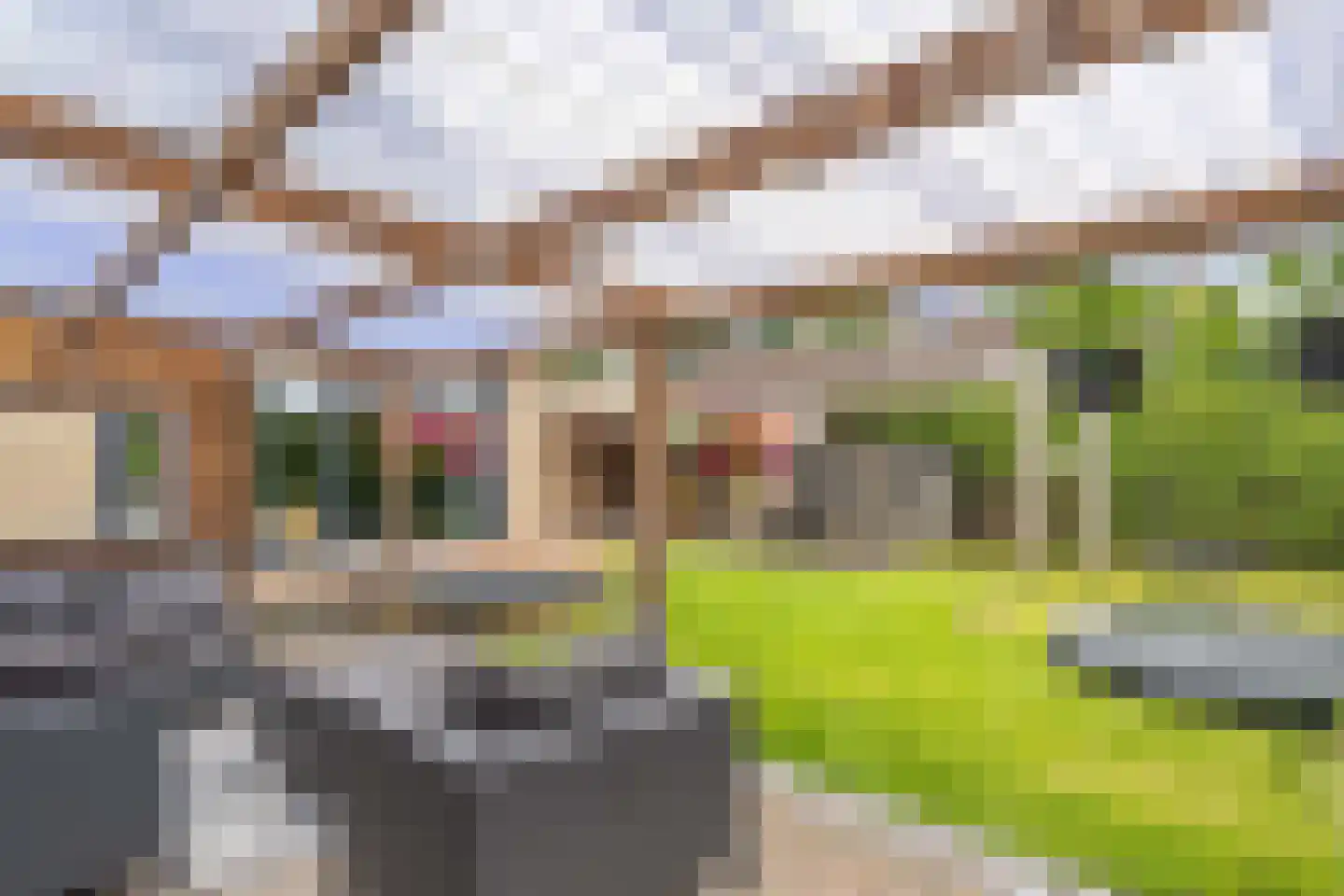 Roune Leane 2 Oudemirdum thumbnail 54