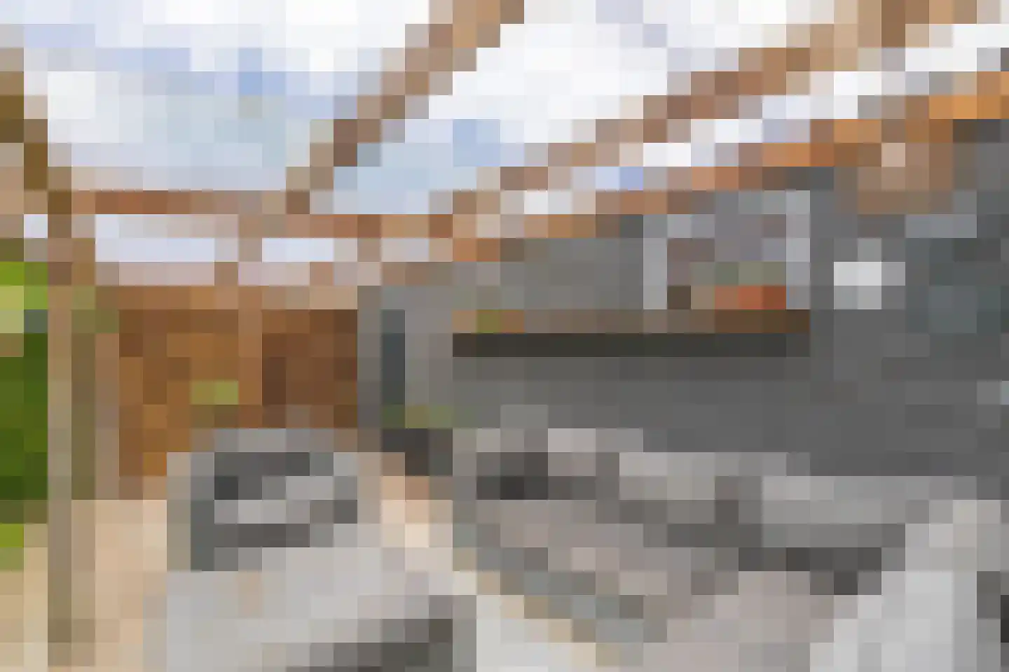 Roune Leane 2 Oudemirdum thumbnail 55