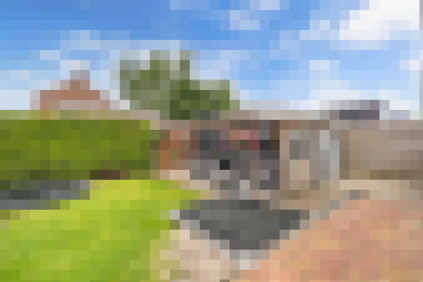 Roune Leane 2 Oudemirdum thumbnail 56