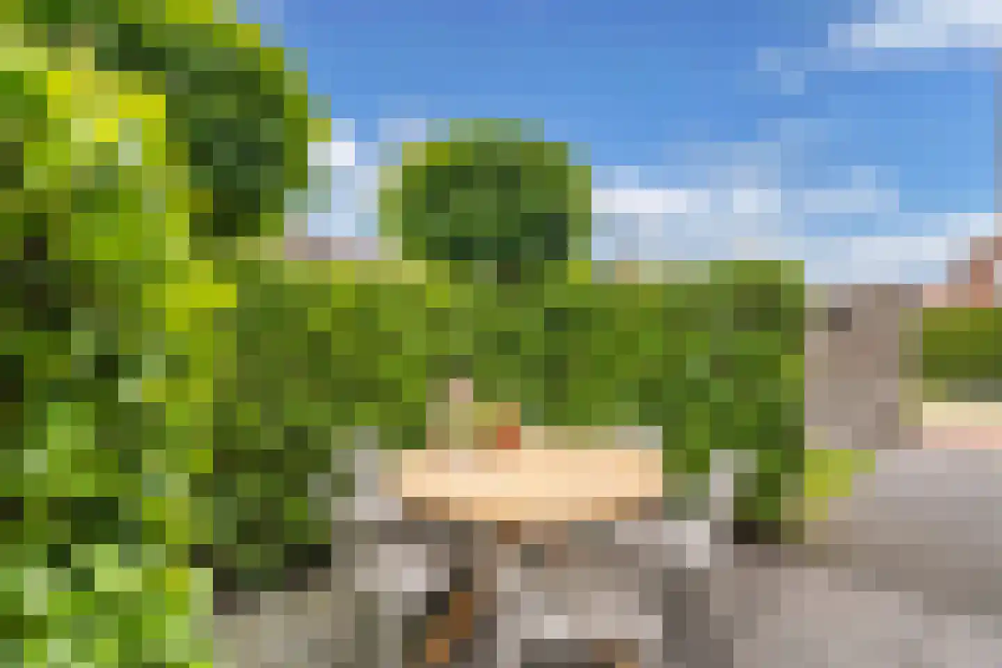 Roune Leane 2 Oudemirdum thumbnail 58