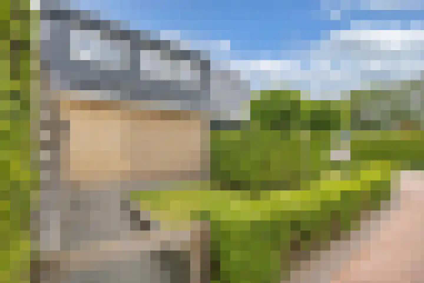 Roune Leane 2 Oudemirdum thumbnail 6