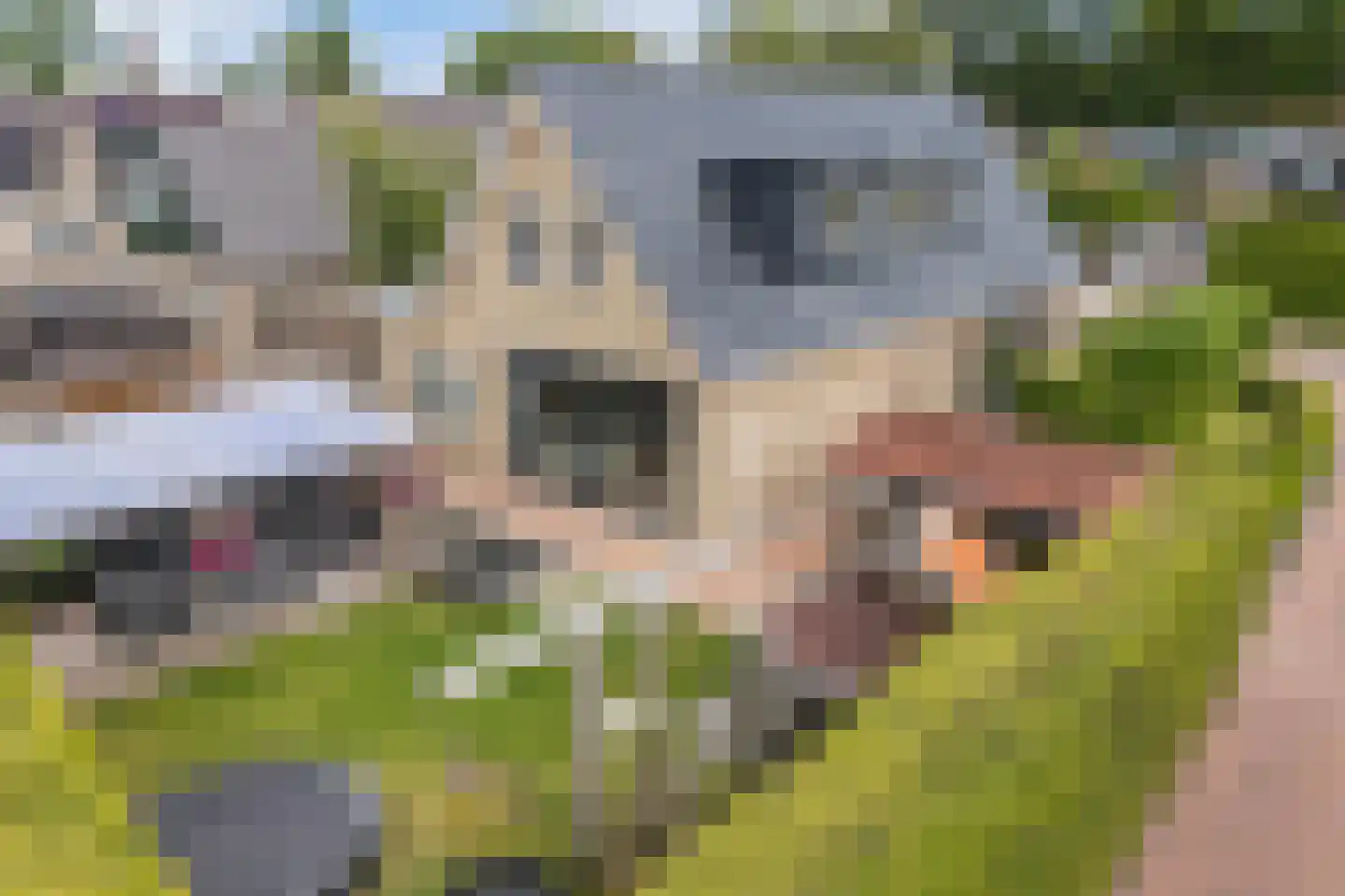 Roune Leane 2 Oudemirdum thumbnail 60