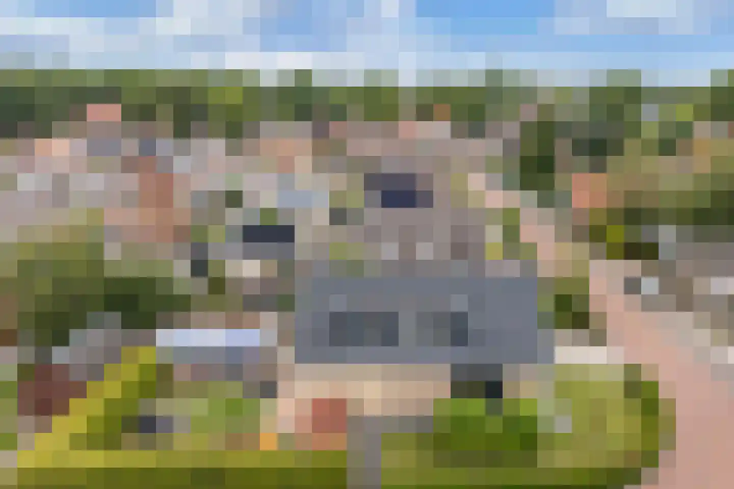 Roune Leane 2 Oudemirdum thumbnail 61
