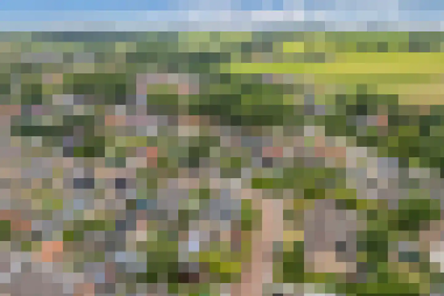 Roune Leane 2 Oudemirdum thumbnail 63