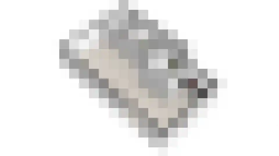 Roune Leane 2 Oudemirdum thumbnail 68