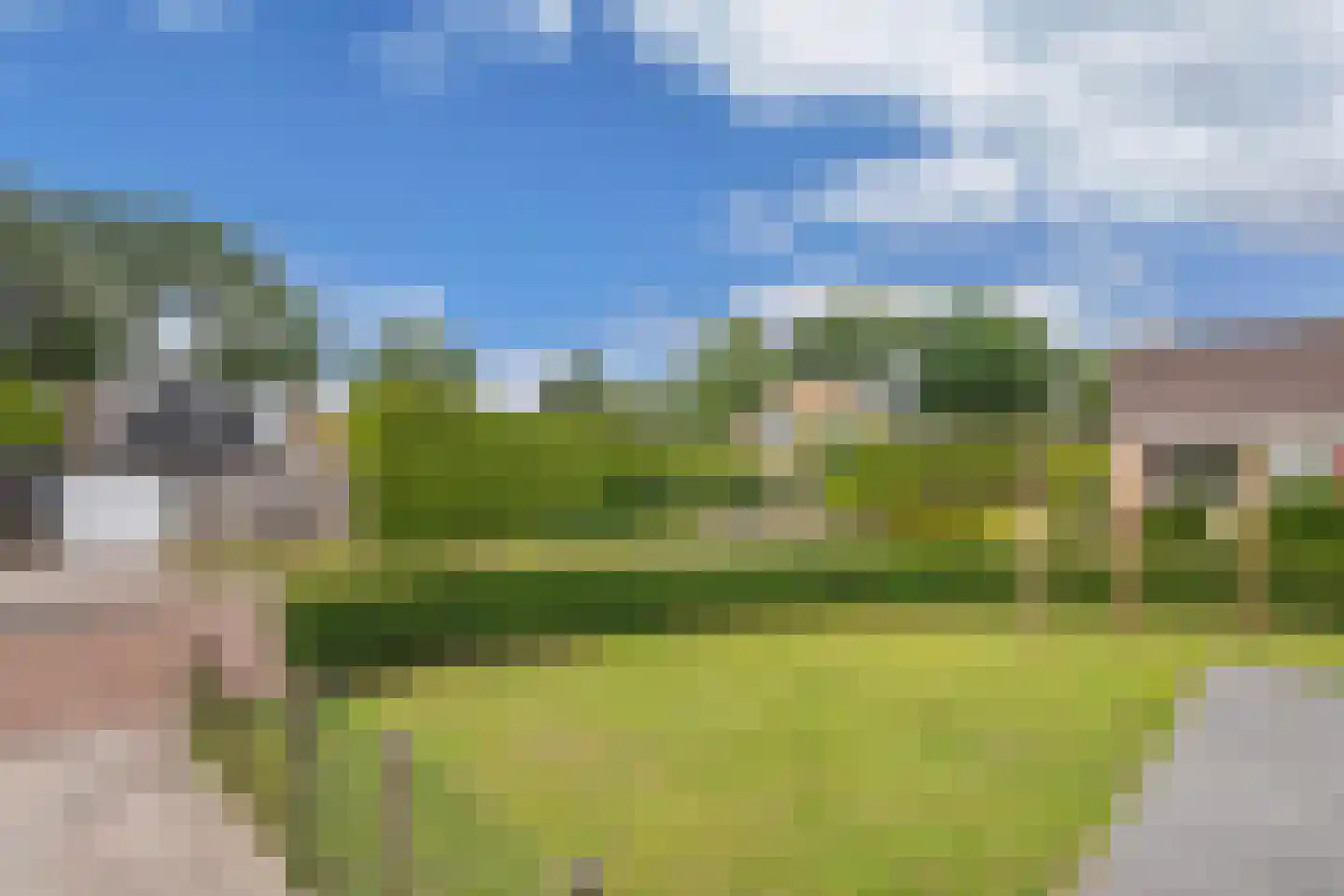 Roune Leane 2 Oudemirdum thumbnail 7