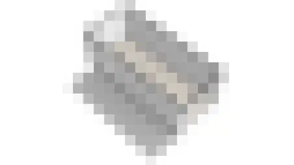 Roune Leane 2 Oudemirdum thumbnail 71