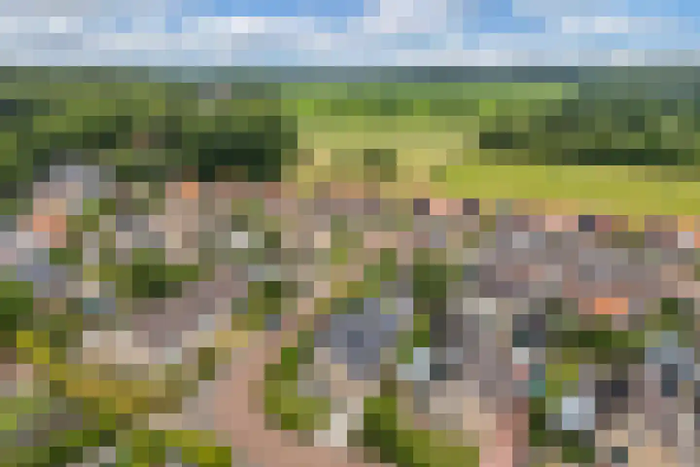 Roune Leane 2 Oudemirdum thumbnail 8