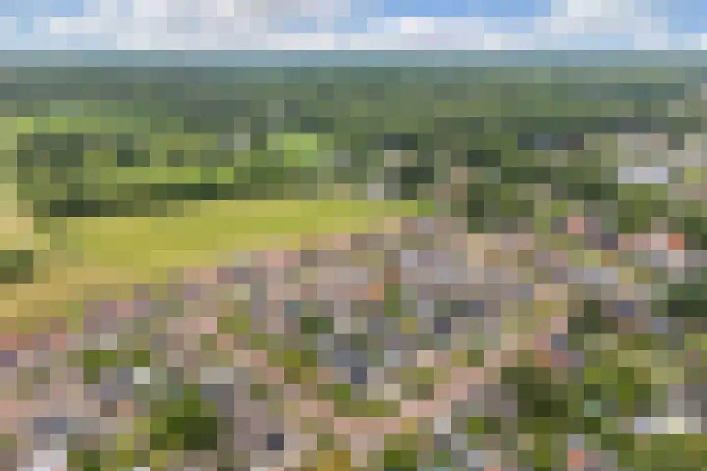 Roune Leane 2 Oudemirdum thumbnail 9