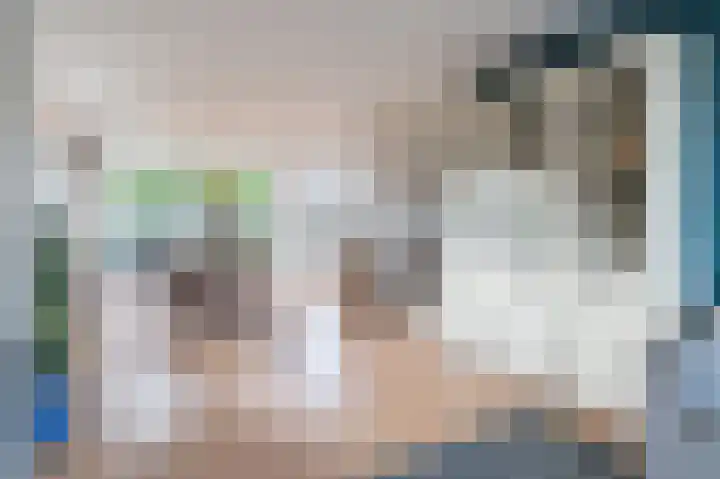 Rouppe van der Voortlaan 11 Vught thumbnail 12