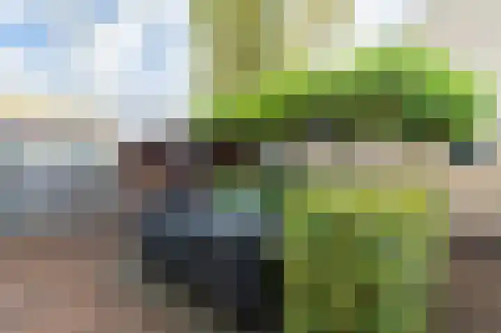 Rouppe van der Voortlaan 11 Vught thumbnail 21