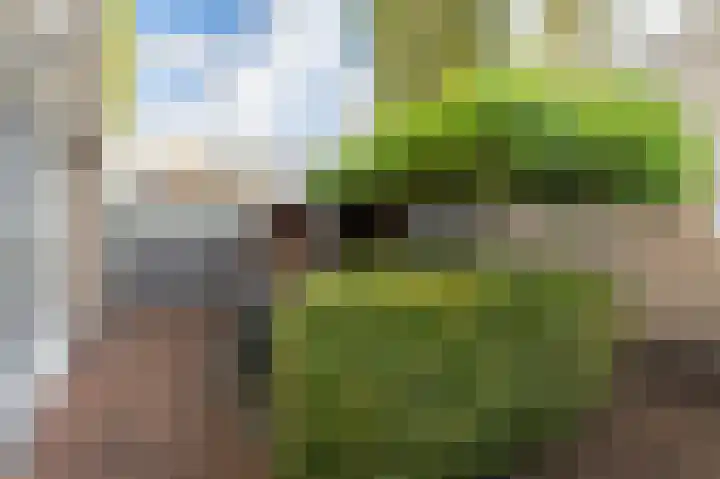 Rouppe van der Voortlaan 11 Vught thumbnail 22