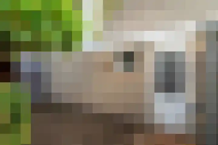 Rouppe van der Voortlaan 11 Vught thumbnail 23