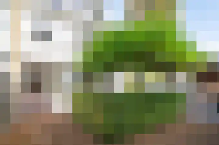 Rouppe van der Voortlaan 11 Vught thumbnail 24