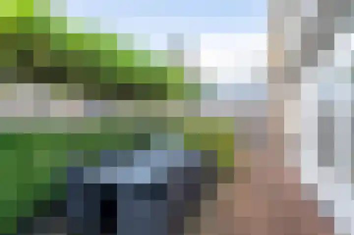 Rouppe van der Voortlaan 11 Vught thumbnail 28
