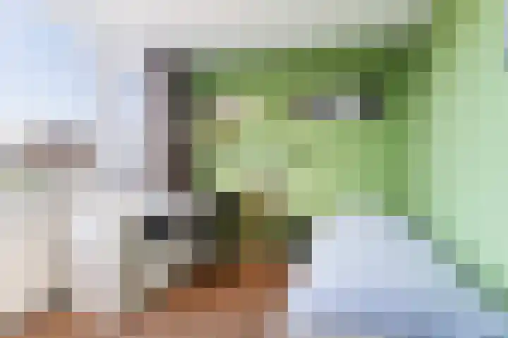 Rouppe van der Voortlaan 11 Vught thumbnail 41