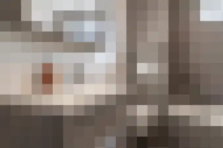 Rouppe van der Voortlaan 11 Vught thumbnail 45