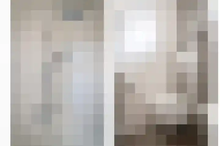 Rouppe van der Voortlaan 11 Vught thumbnail 46