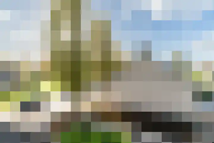 Rouppe van der Voortlaan 11 Vught thumbnail 58