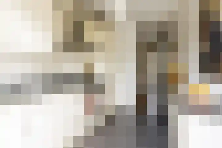 Rouppe van der Voortlaan 15 Vught thumbnail 10