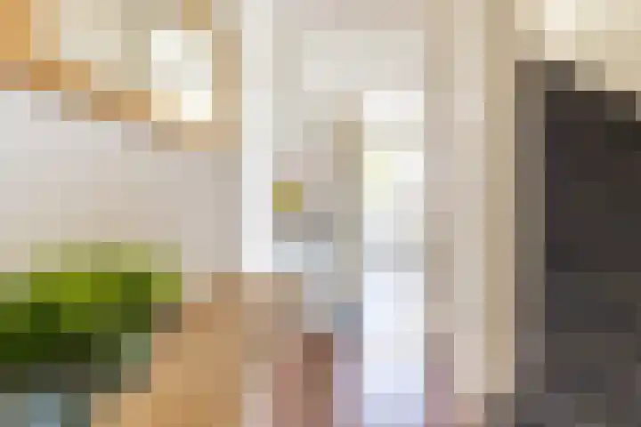 Rouppe van der Voortlaan 15 Vught thumbnail 12