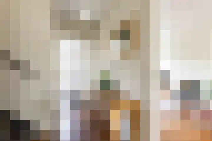 Rouppe van der Voortlaan 15 Vught thumbnail 13