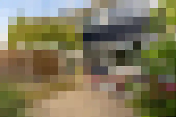 Rouppe van der Voortlaan 15 Vught thumbnail 30