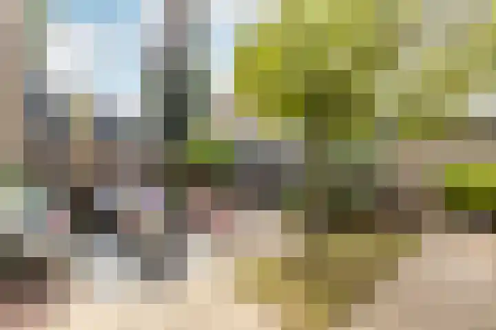 Rouppe van der Voortlaan 15 Vught thumbnail 31