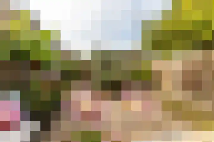 Rouppe van der Voortlaan 15 Vught thumbnail 32