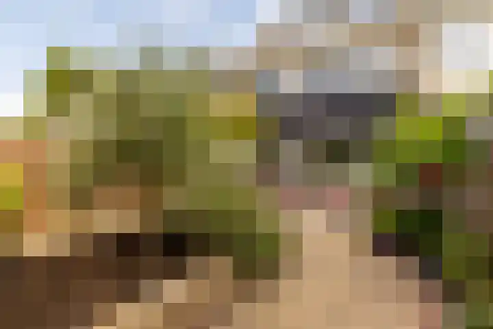 Rouppe van der Voortlaan 15 Vught thumbnail 33