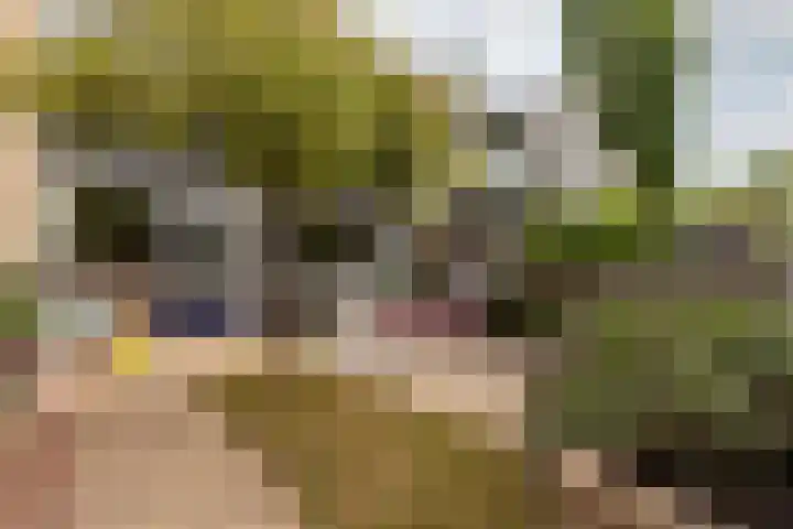 Rouppe van der Voortlaan 15 Vught thumbnail 34