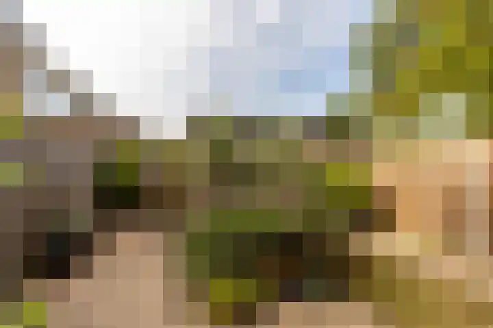 Rouppe van der Voortlaan 15 Vught thumbnail 35
