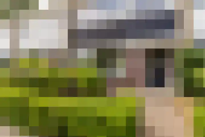 Rouppe van der Voortlaan 15 Vught thumbnail 39