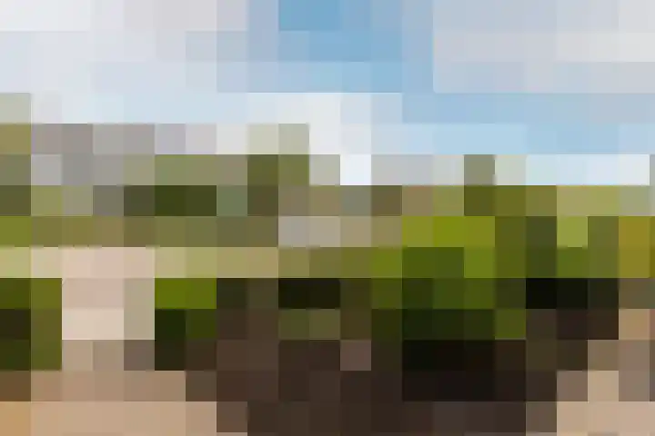 Rouppe van der Voortlaan 15 Vught thumbnail 41