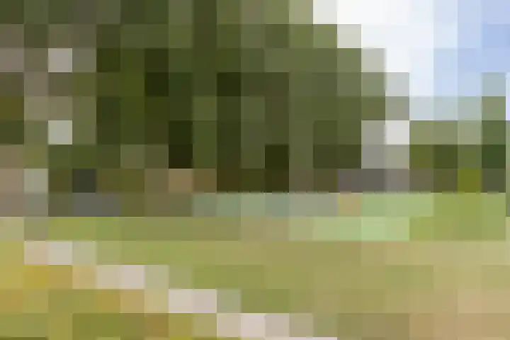 Rouppe van der Voortlaan 15 Vught thumbnail 46